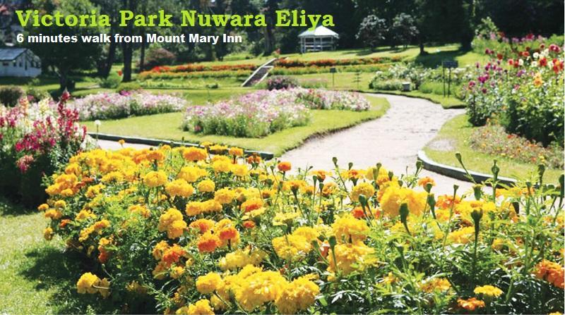Mount Mary Inn Nuwara Eliya Dış mekan fotoğraf